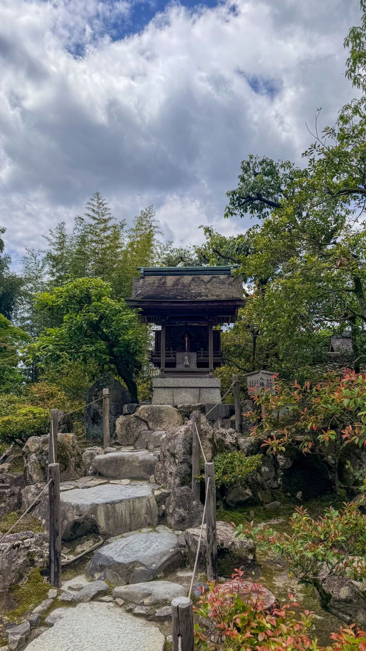 Bamboo path leading to wooden temple